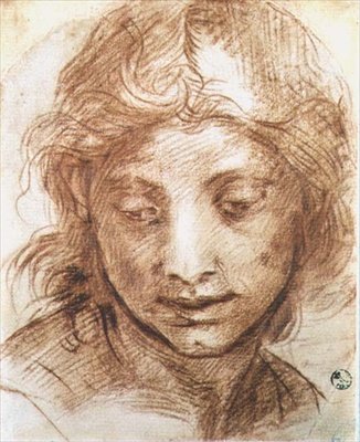 年轻女性的头部研究（粉笔画） 作者 安德里亚·德尔·萨托（Andrea del Sarto）