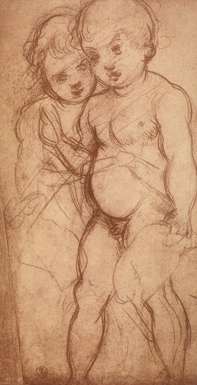 研究两个小天使;由Andrea del Sarto绘制。内阁图纸和版画，乌菲齐画廊，佛罗伦萨 作者 安德里亚·德尔·萨托（Andrea del Sarto）