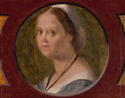 多梅尼科-达-甘巴锡的妻子 作者 安德里亚·德尔·萨托（Andrea del Sarto）
