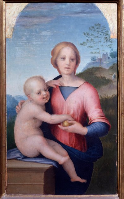 圣母与孩子（绘画 作者 安德里亚·德尔·萨托（Andrea del Sarto）