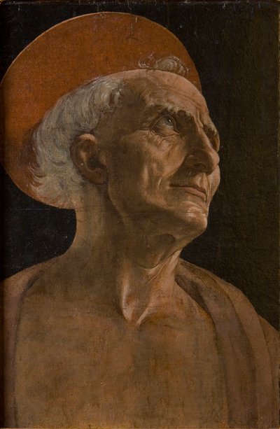 圣杰罗姆，约1467-1469。 作者 安德里亚·德尔·弗罗基基奥