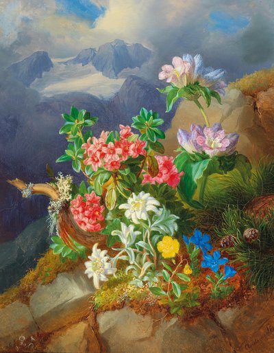 高山鲜花 作者 安德烈亚斯·拉奇（Andreas Lach）