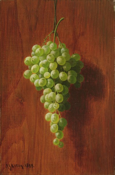 葡萄（绿色），1884年 作者 安德鲁·约翰·亨利·韦