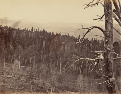 图版 13.拉莱米山脉的雪线和林线，1869 年（照片） 作者 安德鲁·约瑟夫·拉塞尔