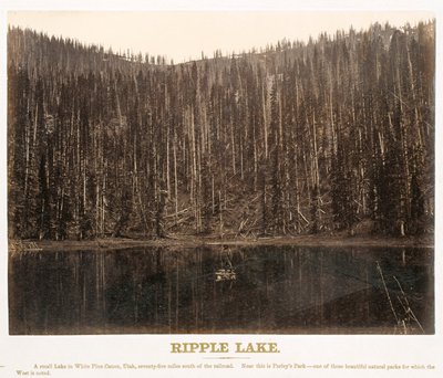 犹他州白松树峡谷的波纹湖，来自《大西部图解》，由 A. J. Russell 撰写的 "沿联合太平洋铁路线拍摄的横跨大陆的系列照片"，从内布拉斯加州奥马哈向西拍摄。第一卷 作者 安德鲁·约瑟夫·拉塞尔