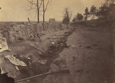 石墙，弗雷德里克斯堡的后方，有叛军的尸体，1863年5月3日。 作者 安德鲁·约瑟夫·拉塞尔