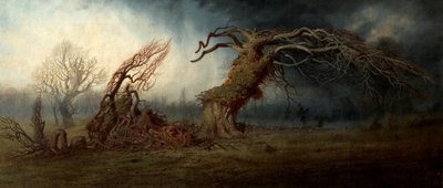诅咒之树 作者 安德鲁·麦克卡伦（Andrew MacCallum）