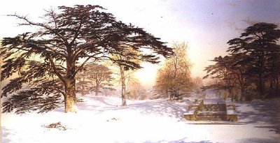 查林克罗斯三英里范围内未被发现的雪；荷兰公园 作者 安德鲁·麦克卡伦（Andrew MacCallum）