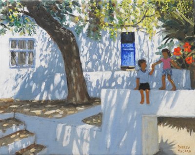  作者 安德鲁·马卡拉（Andrew Macara）