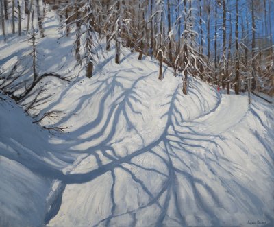 Fir Tree Shadows，Tignes，2009 作者 安德鲁·马卡拉（Andrew Macara）