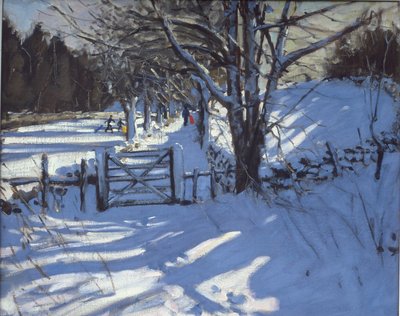 在德比郡Youlgreave附近的门 作者 安德鲁·马卡拉（Andrew Macara）