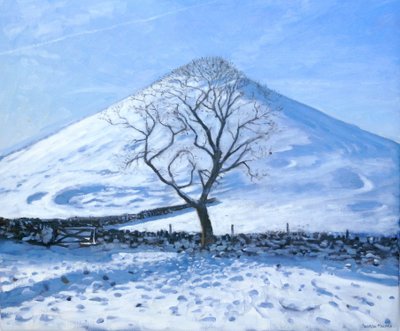 山和树，德比郡，2008年 作者 安德鲁·马卡拉（Andrew Macara）