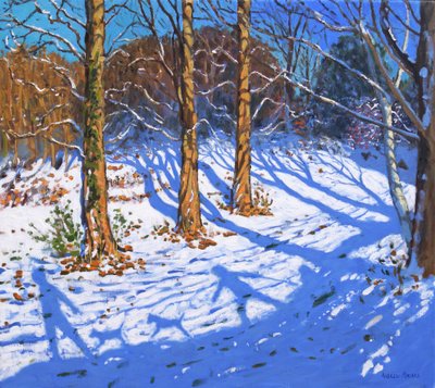 十一月的雪，Allestree公园，德比，2017年， 作者 安德鲁·马卡拉（Andrew Macara）