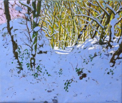 Path through the woods in winter ,Derbyshire,(oil on canvas) 作者 安德鲁·马卡拉（Andrew Macara）
