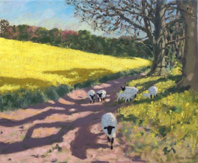 绵羊和黄色的田野，2017年， 作者 安德鲁·马卡拉（Andrew Macara）