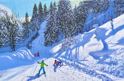  作者 安德鲁·马卡拉（Andrew Macara）