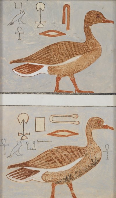 来自卡曼克三世私人墓穴的壁画副本，1，132，吉萨，鹅，20世纪 作者 安娜