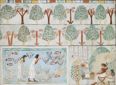 塞布霍普63号私人墓的壁画副本，底比斯I，1，125-128，20世纪 作者 安娜