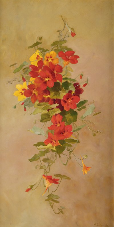 Nasturtiums 作者 安娜·伊丽莎·哈迪（Anna Eliza Hardy）