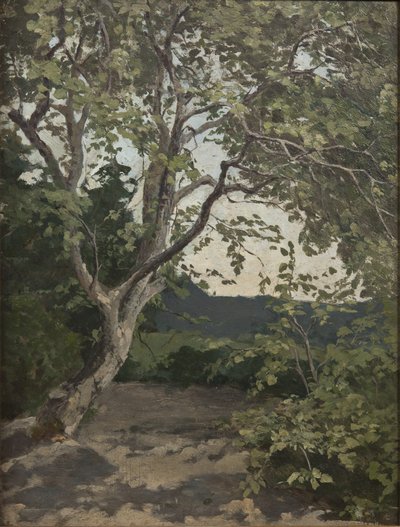 树研究（纸上油） 作者 安娜·诺兰德（Anna Nordlander）