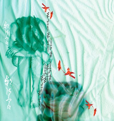 救世蓝 作者 安娜·普拉茨（Anna Platts）