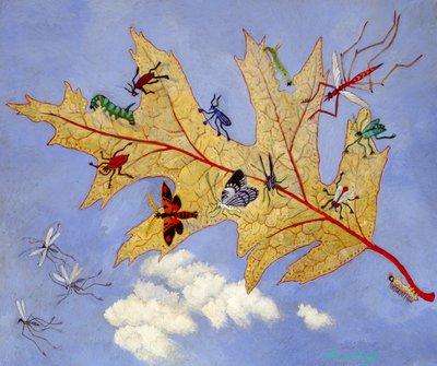 秋叶，2009 年（丙烯画） 作者 