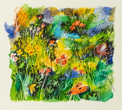 草地虫，2023 年（水彩画） 作者 