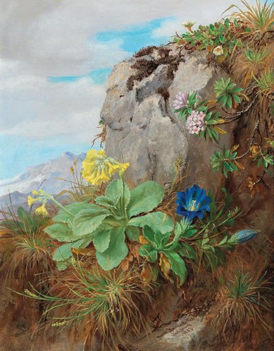 高山鲜花 作者 安娜·斯坦纳·针织