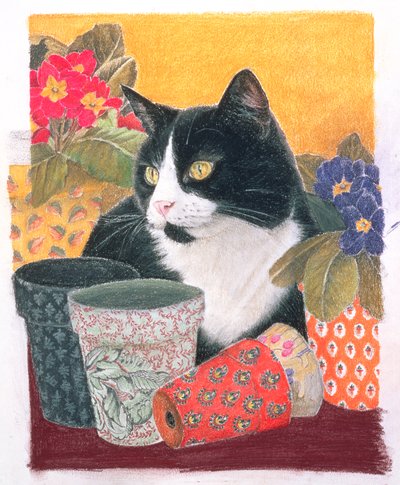 Bhajii和Flowerpots 作者 安妮·罗宾逊