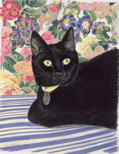 黑猫 作者 安妮·罗宾逊