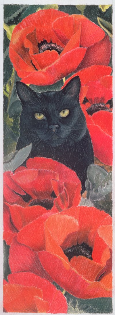 黑猫与罂粟 作者 安妮·罗宾逊