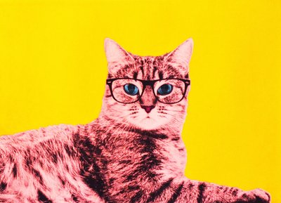 Life in technicolor, 2017 作者 安妮取消