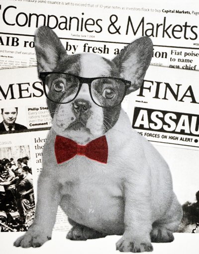 Wall street dog, 2015 作者 安妮取消