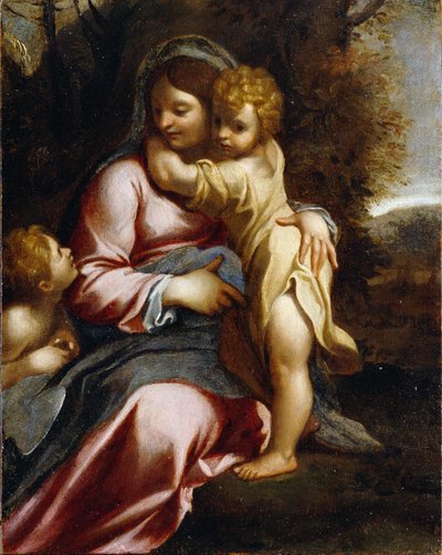 麦当娜和圣约翰的孩子 作者 Annibale Carracci