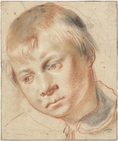 男孩头部研究
男孩头部研究 作者 Annibale Carracci（归因于）