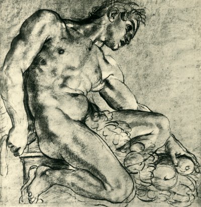 带花环的坐着的伊努多（1598-1599），1943年。 作者 Annibale Carracci