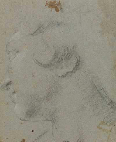 Carracci - r 圣凯瑟琳之首，RCIN 902115 作者 Annibale Carracci