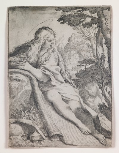 荒野中的抹大拉马利亚 作者 Annibale Carracci