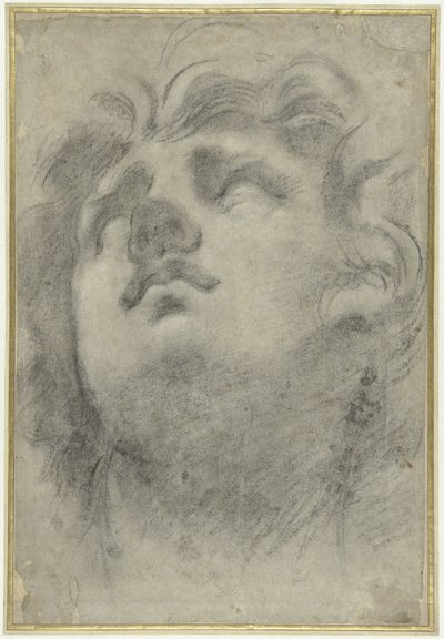 看到三纹龙的头部 作者 Annibale Carracci