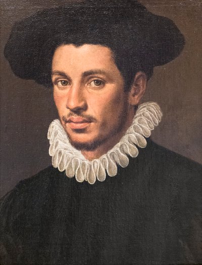 一位年轻人的肖像 作者 Annibale Carracci