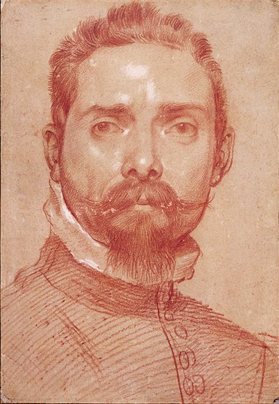 "" 琵琶演奏者 Giulio Mascheroni 的肖像 ""（琵琶演奏者 Giulio Mascheroni 的肖像） 汉尼拔·卡拉奇 (Carrache) (1560-1609) 之血，约 1594 年，维也纳，阿尔贝蒂娜 作者 Annibale Carracci