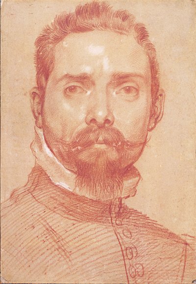 琵琶演奏者的肖像朱利奥·马斯切罗尼（Giulio Mascheroni），约1594年 作者 Annibale Carracci