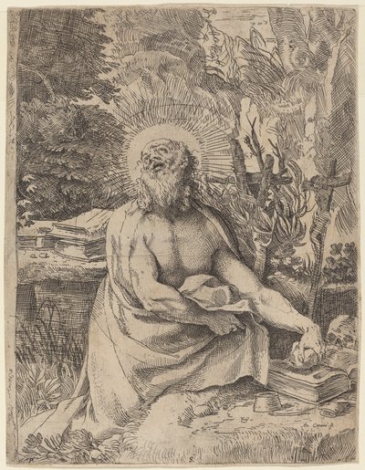 荒野中的圣杰罗姆 作者 Annibale Carracci