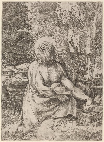 荒野中的圣杰罗姆 作者 Annibale Carracci