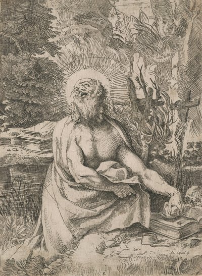 荒野中的圣杰罗姆 作者 Annibale Carracci