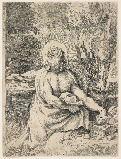 荒野中的圣杰罗姆，c。 1591 作者 Annibale Carracci