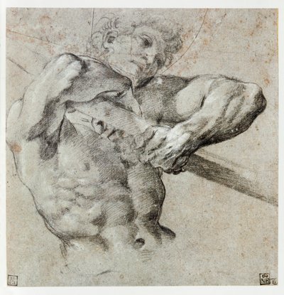 男性人物研究... 作者 Annibale Carracci