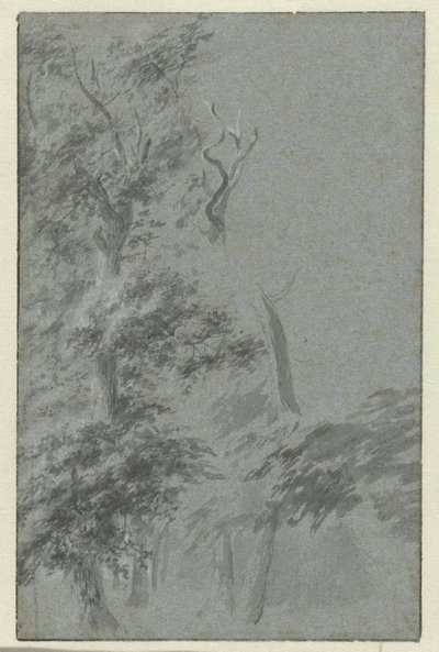 森林景观 作者 无名氏