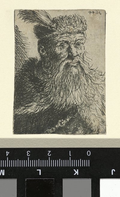 波兰绅士的半身像 作者 伦勃朗·范·莱恩 (Rembrandt van Rijn)