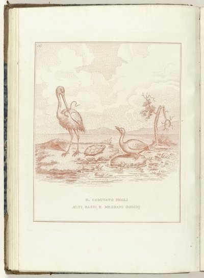 高级、低级和中级阶级委员会, 1795 年
高级、低级和中级阶级委员会（物上标题）
再生的荷兰》（意大利语版本）（丛书名称）
荷兰的再生：所有再生民族的镜子（丛书标题 作者 詹姆斯·吉尔雷（可能）